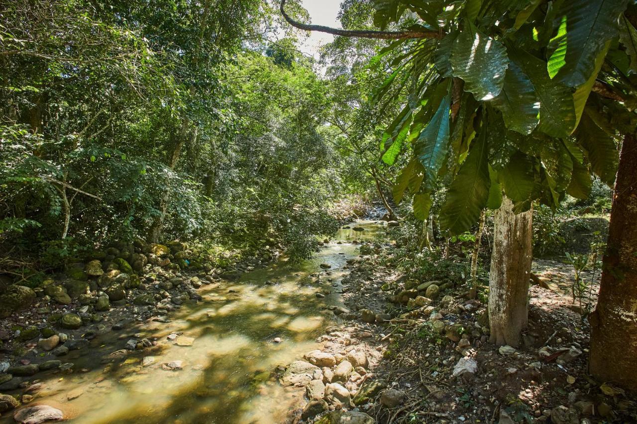 Villa Lu Amazon Ecolodge 타라포토 외부 사진
