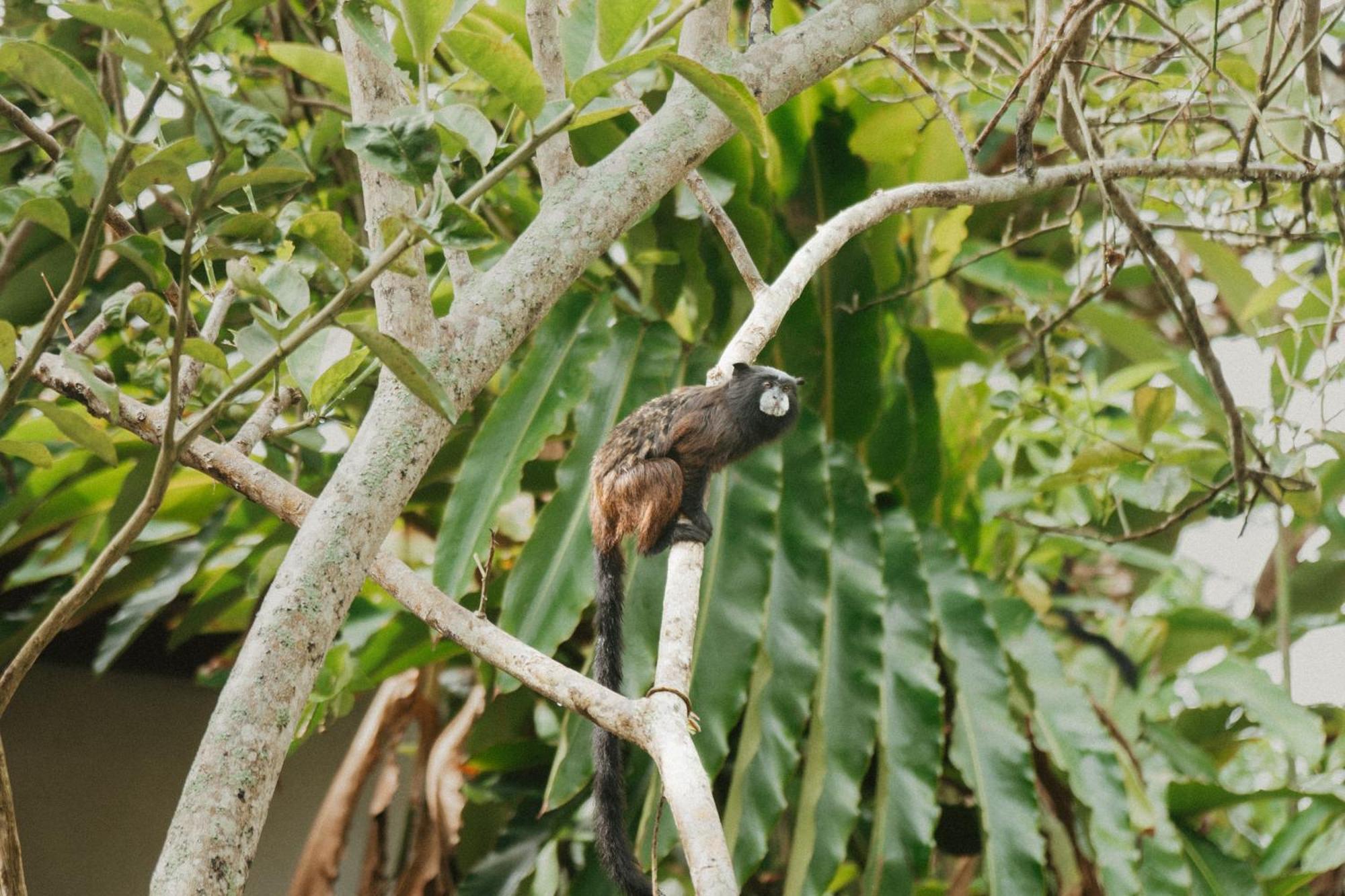 Villa Lu Amazon Ecolodge 타라포토 외부 사진