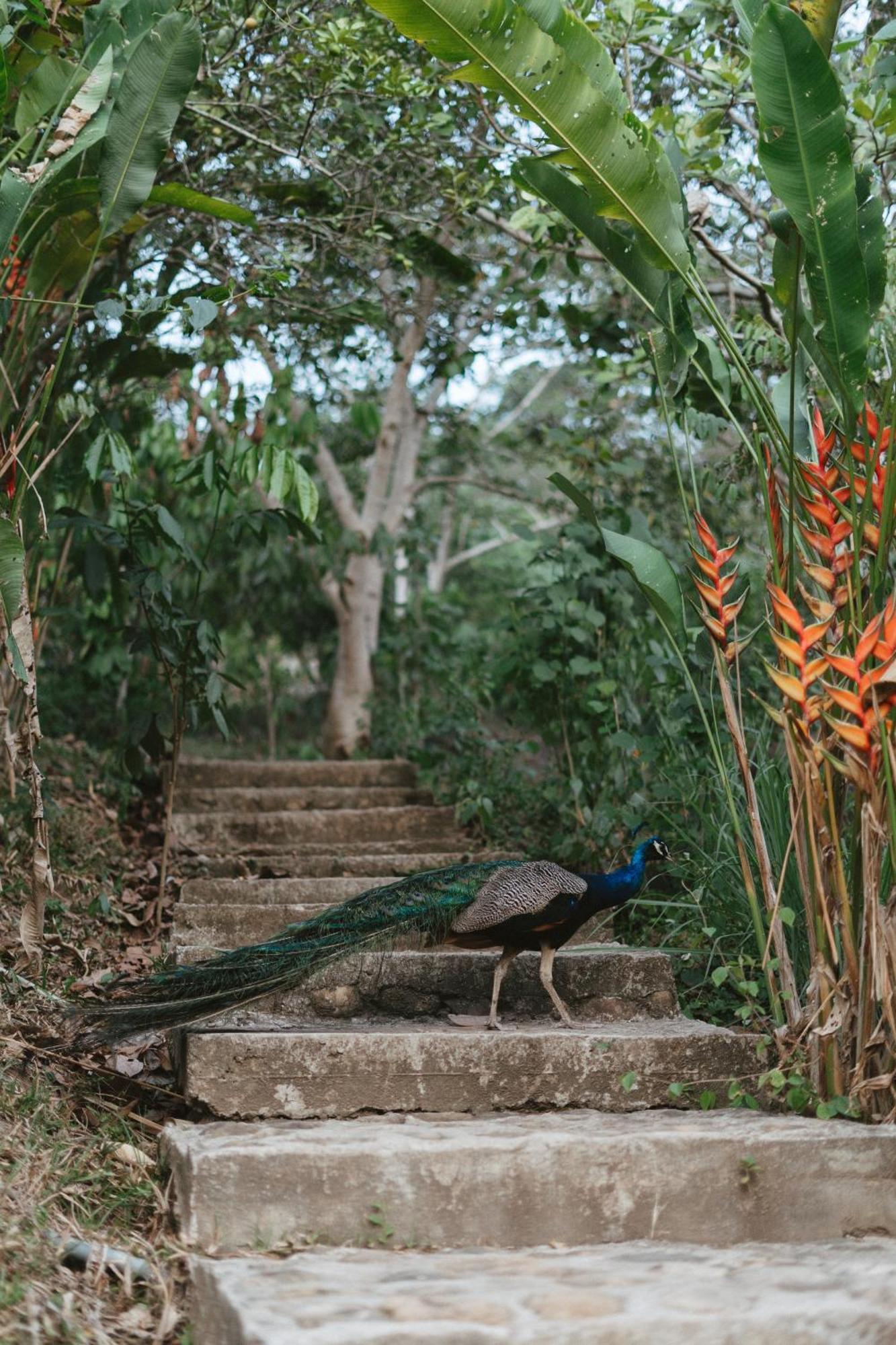 Villa Lu Amazon Ecolodge 타라포토 외부 사진
